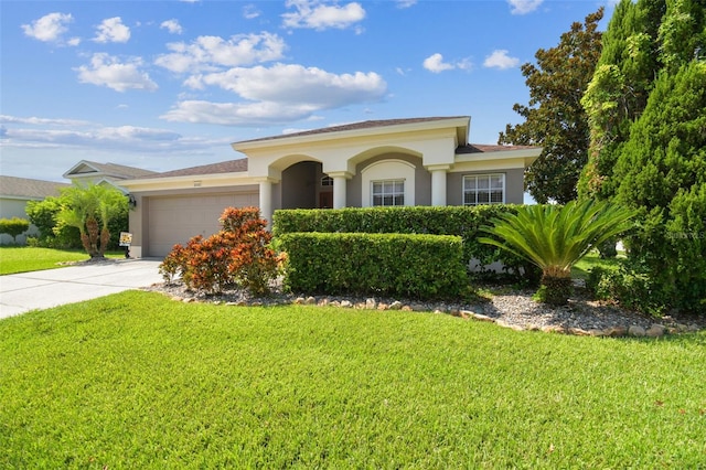 30400 Randall Manor St, Wesley Chapel, FL 33545 - photo 4