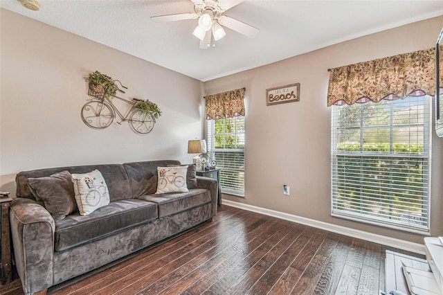 30400 Randall Manor St, Wesley Chapel, FL 33545 - photo 10