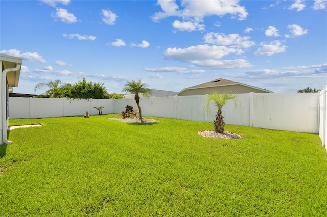 30400 Randall Manor St, Wesley Chapel, FL 33545 - photo 51