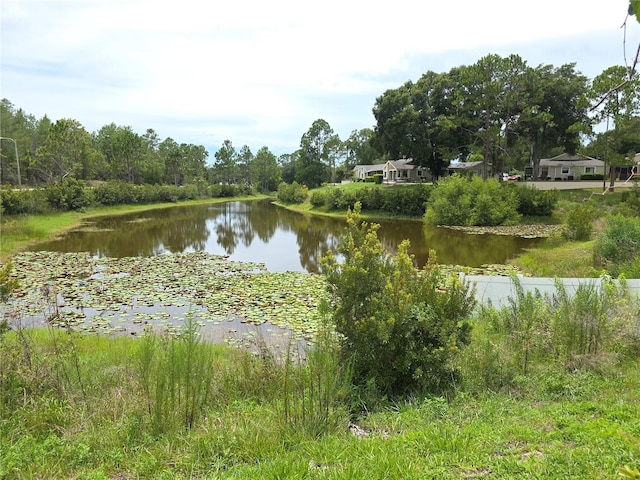 8162 Sturbridge Ct, Weeki Wachee, FL 34613 - photo 35