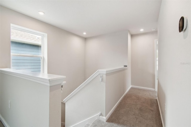 11920 Thorncrest Dr, Spring Hill, FL 34610 - photo 36