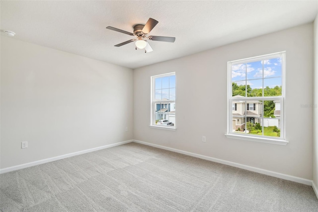 11920 Thorncrest Dr, Spring Hill, FL 34610 - photo 51