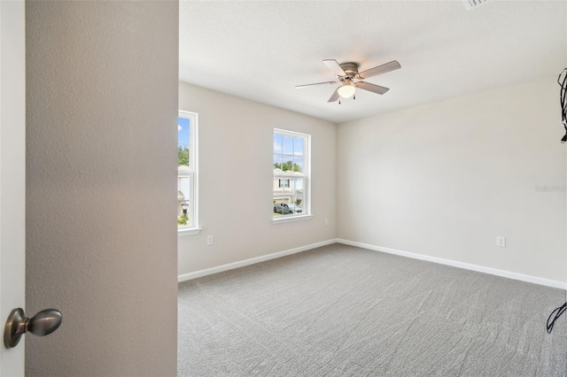 11920 Thorncrest Dr, Spring Hill, FL 34610 - photo 53