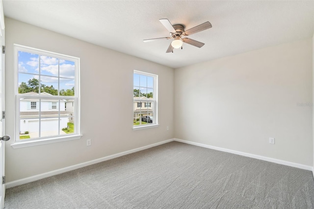 11920 Thorncrest Dr, Spring Hill, FL 34610 - photo 54