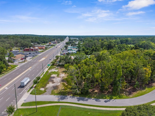 802 S Broad St, Brooksville, FL 34601 - photo 6