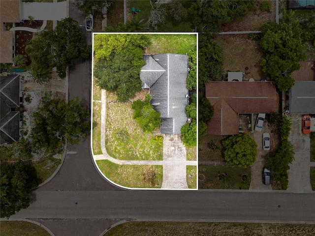 600 Ivey Ln, Tarpon Springs, FL 34689 - photo 5