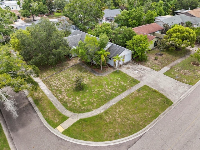 600 Ivey Ln, Tarpon Springs, FL 34689 - photo 6