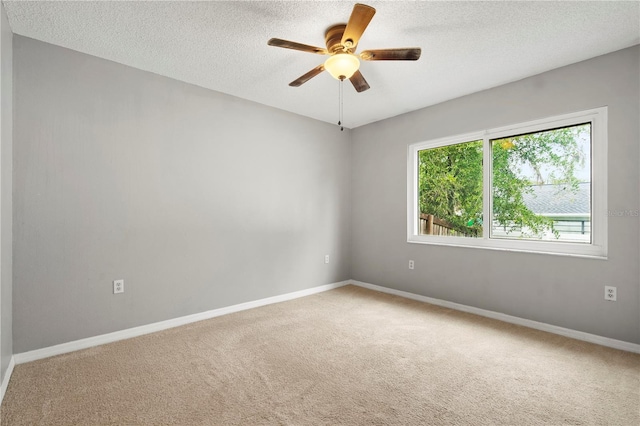 600 Ivey Ln, Tarpon Springs, FL 34689 - photo 22