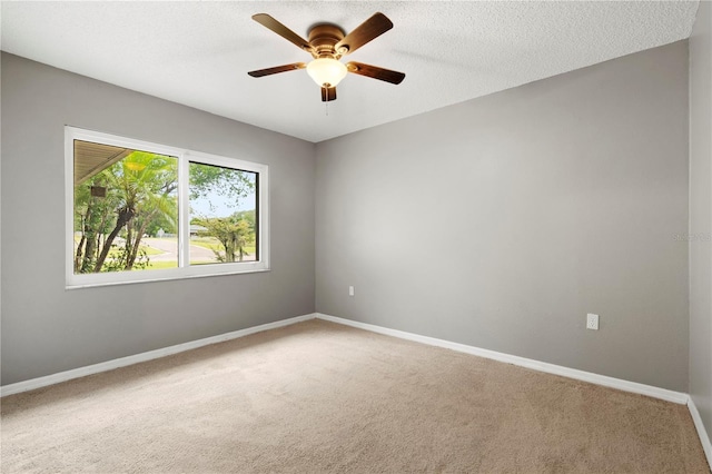 600 Ivey Ln, Tarpon Springs, FL 34689 - photo 26