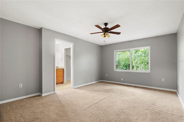 600 Ivey Ln, Tarpon Springs, FL 34689 - photo 36