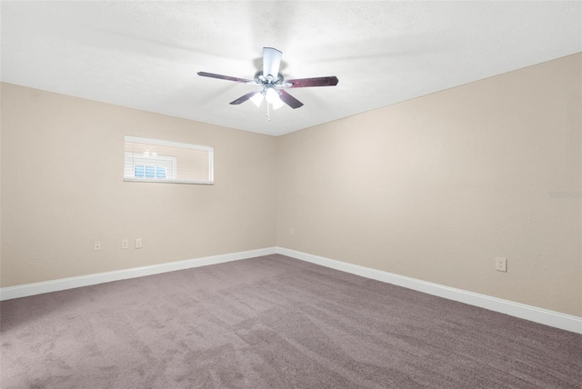 11425 Fox Run Run, Port Richey, FL 34668 - photo 15