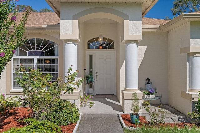 8473 Vicksburg Rd, Spring Hill, FL 34608 - photo 5