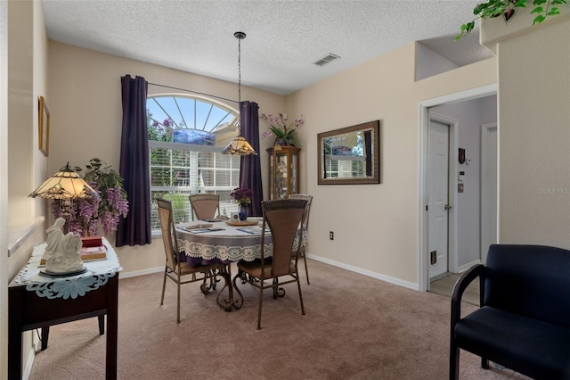 8473 Vicksburg Rd, Spring Hill, FL 34608 - photo 12
