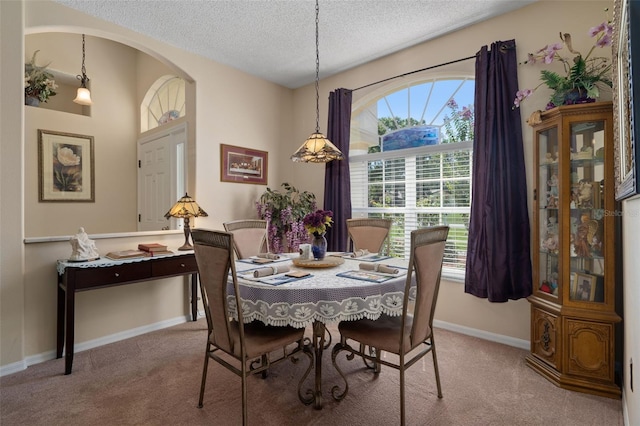 8473 Vicksburg Rd, Spring Hill, FL 34608 - photo 13