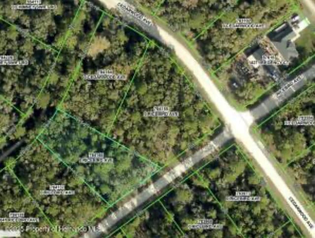 14059 Ricebird Ave, Weeki Wachee, FL 34614 - photo 1