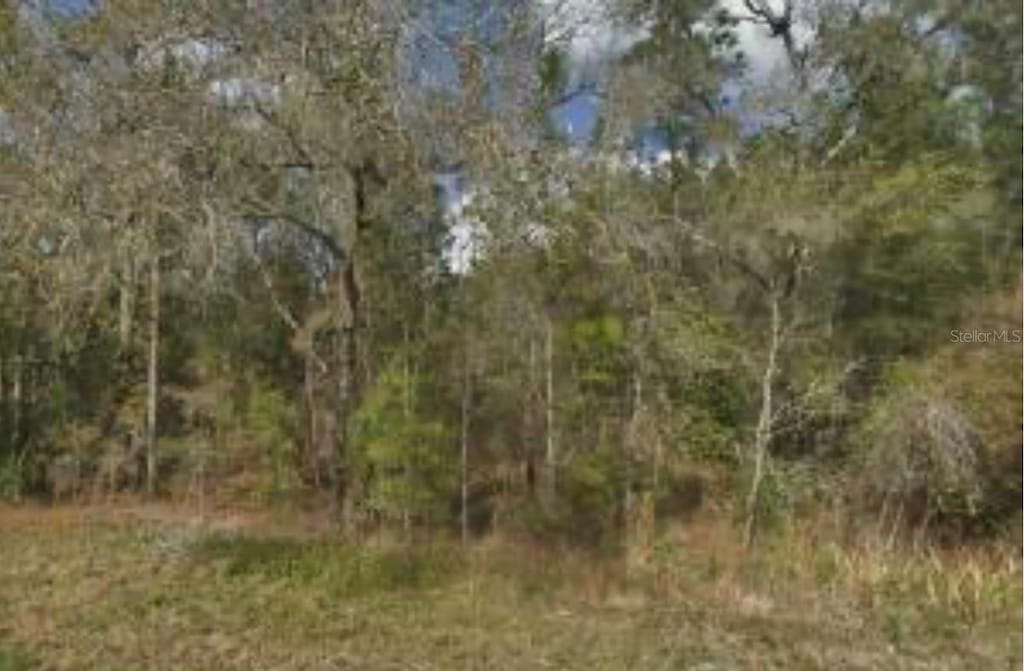 14059 Ricebird Ave, Weeki Wachee, FL 34614 - photo 2