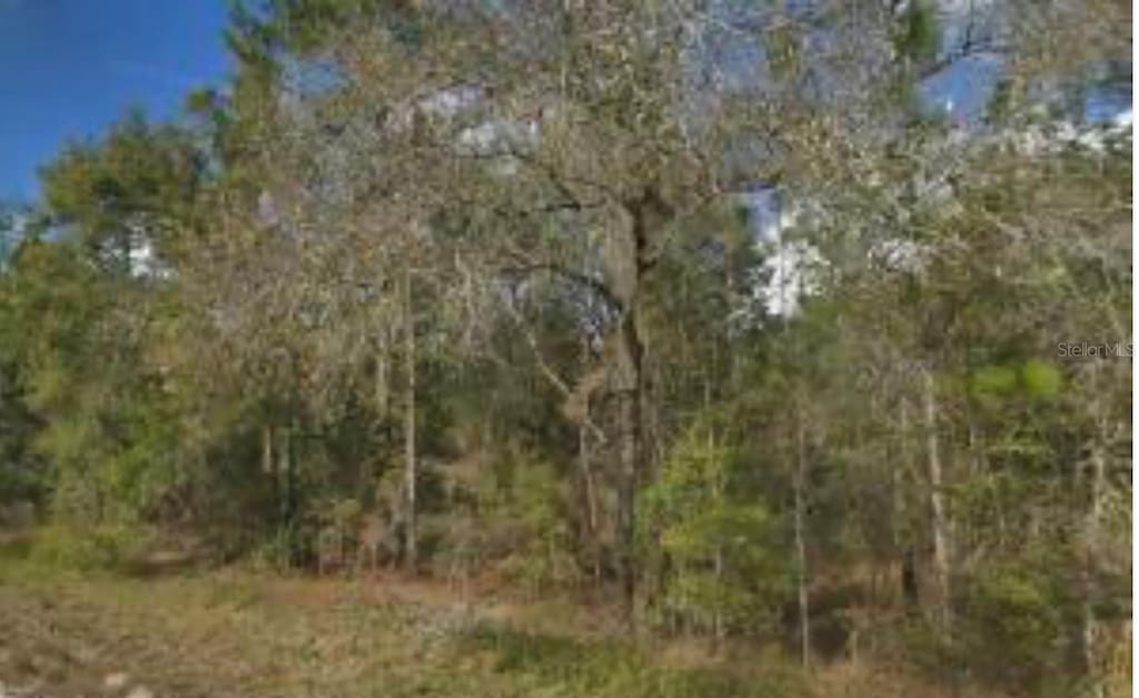 14059 Ricebird Ave, Weeki Wachee, FL 34614 - photo 3