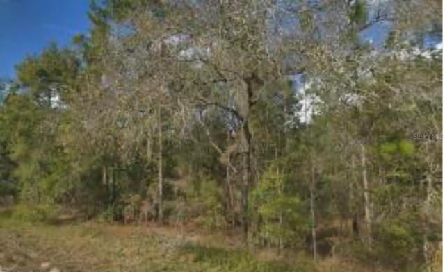 14059 Ricebird Ave, Weeki Wachee, FL 34614 - photo 3