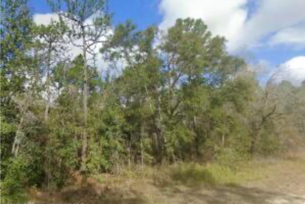 14059 Ricebird Ave, Weeki Wachee, FL 34614 - photo 4