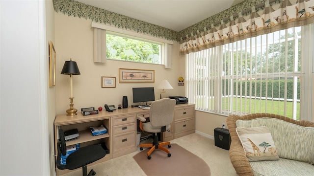 9147 Rhett Ln, Weeki Wachee, FL 34613 - photo 15