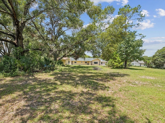 5808 Carina Trce, Wesley Chapel, FL 33545 - photo 39