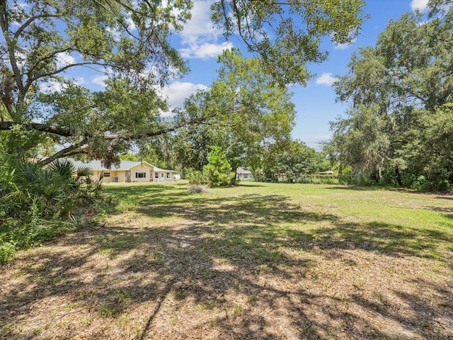 5808 Carina Trce, Wesley Chapel, FL 33545 - photo 40