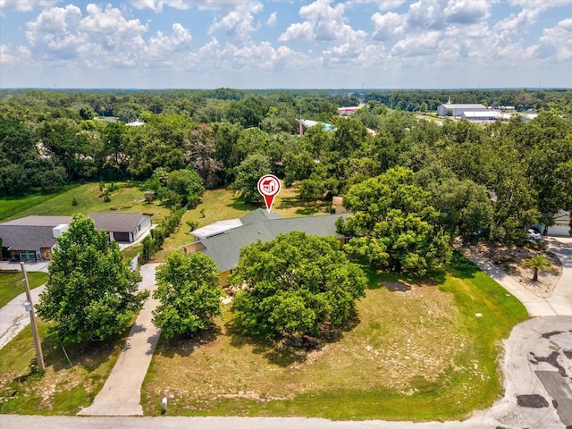 5808 Carina Trce, Wesley Chapel, FL 33545 - photo 51