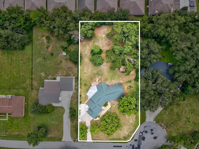 5808 Carina Trce, Wesley Chapel, FL 33545 - photo 57