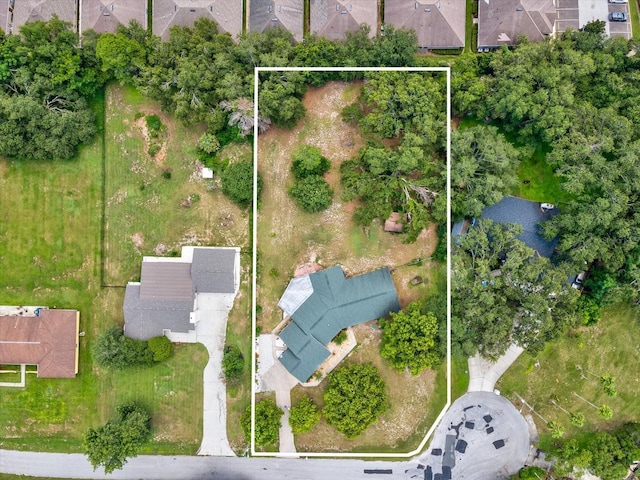 5808 Carina Trce, Wesley Chapel, FL 33545 - photo 58