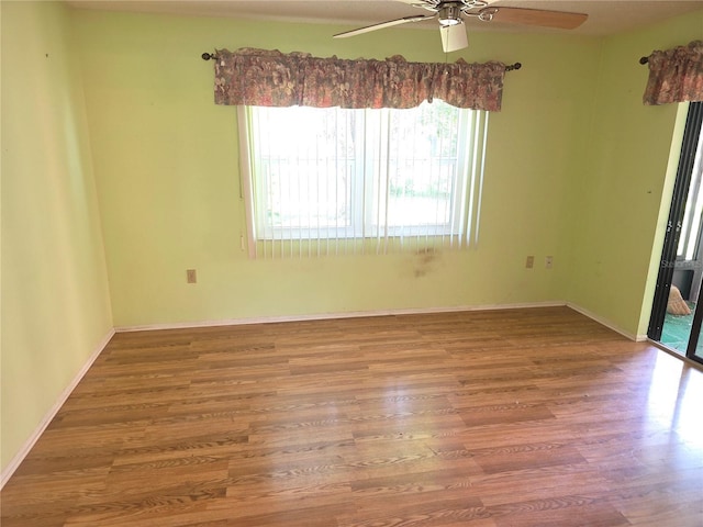 10451 Hobson St, Spring Hill, FL 34608 - photo 7