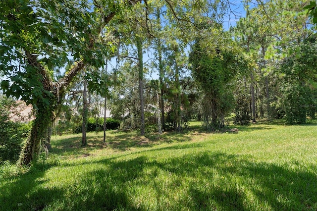 1031 W Diamond Shore Loop Unit 5, Hernando, FL 34442 - photo 43