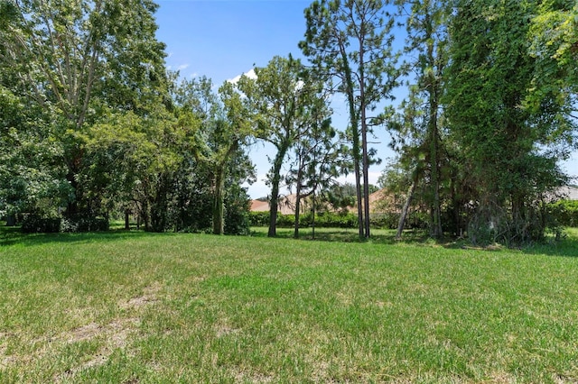 1031 W Diamond Shore Loop Unit 5, Hernando, FL 34442 - photo 45