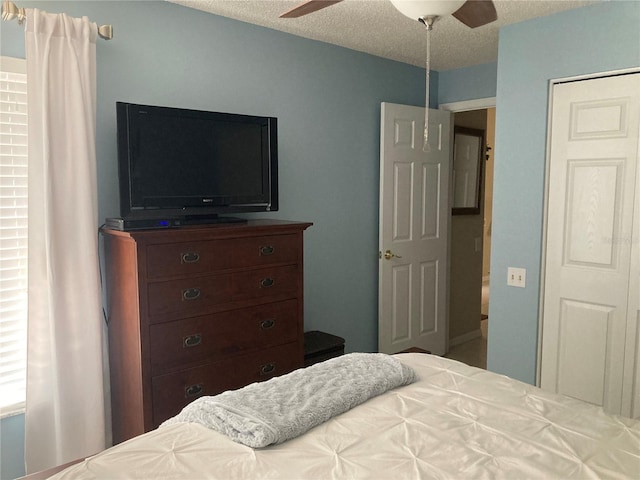 2909 Featherstone Dr, Holiday, FL 34691 - photo 4