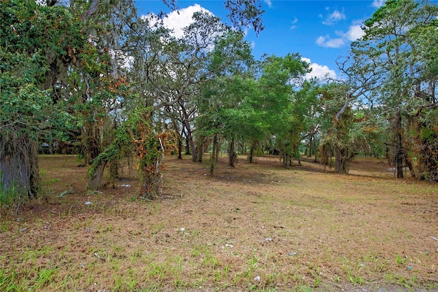 15727 Hays Rd, Spring Hill, FL 34610 - photo 1