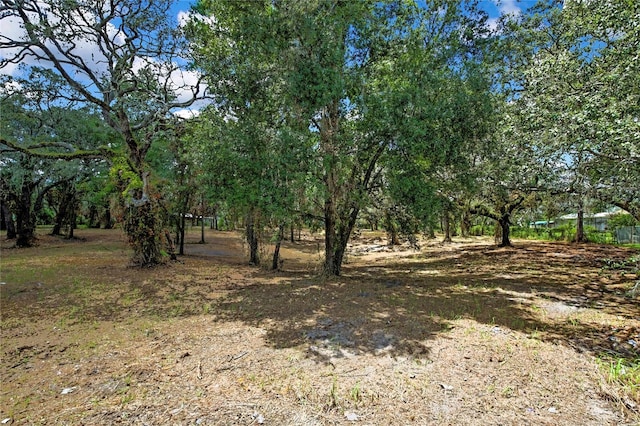 15727 Hays Rd, Spring Hill, FL 34610 - photo 3