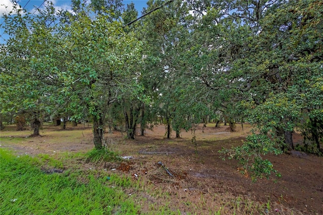 15727 Hays Rd, Spring Hill, FL 34610 - photo 4