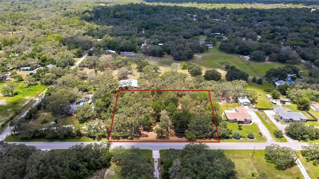 15727 Hays Rd, Spring Hill, FL 34610 - photo 13