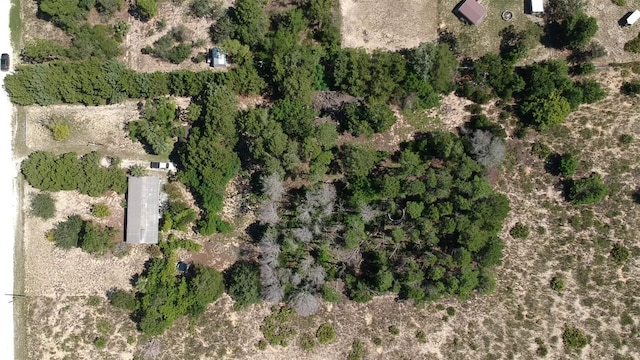 11192 Wren Rd, Weeki Wachee, FL 34614 - photo 2