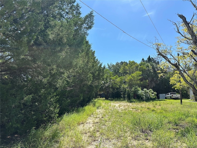 11192 Wren Rd, Weeki Wachee, FL 34614 - photo 4