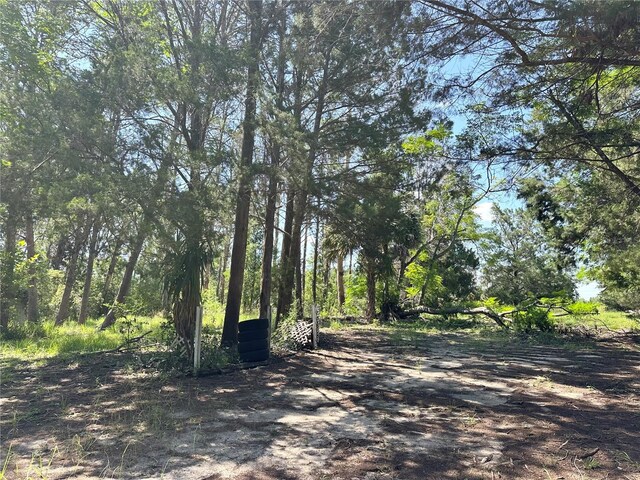 11192 Wren Rd, Weeki Wachee, FL 34614 - photo 7