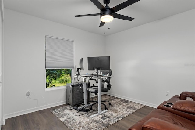 6987 N Dristol Pt, Citrus Springs, FL 34434 - photo 33