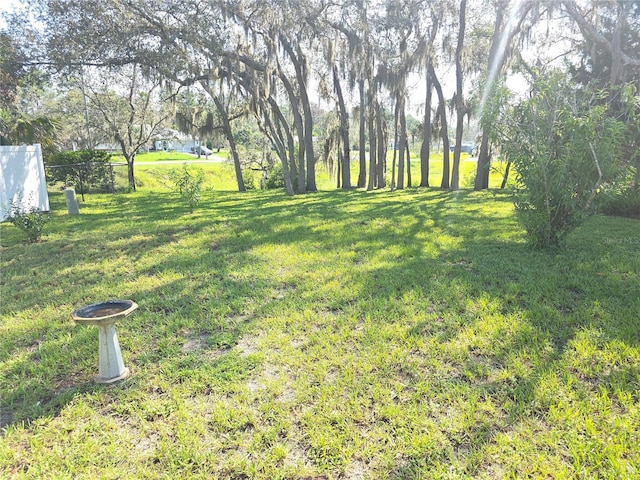 13271 Linden Dr, Spring Hill, FL 34609 - photo 18