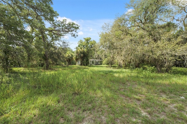 7396 Southview Ct, Weeki Wachee, FL 34613 - photo 2