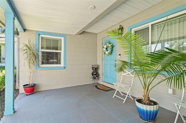 2526 Lake Ellen Ln, Tampa, FL 33618 - photo 7