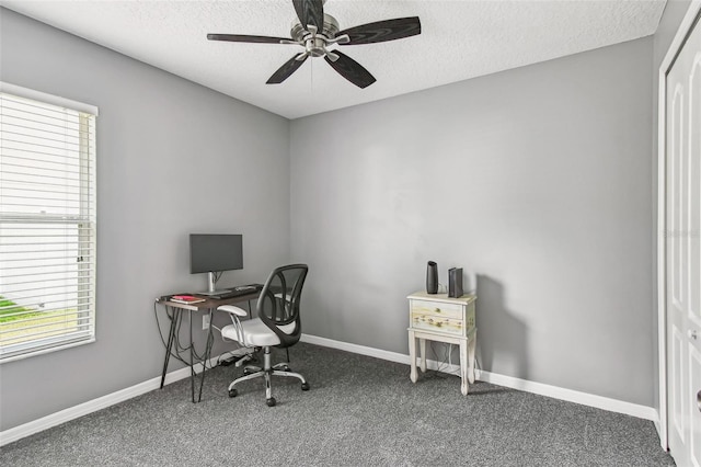 12449 Jillian Cir, Hudson, FL 34669 - photo 17