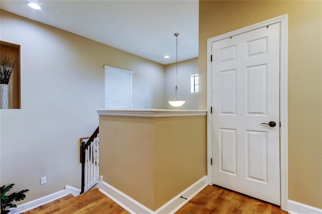 4703 Wandering Way, Wesley Chapel, FL 33544 - photo 16