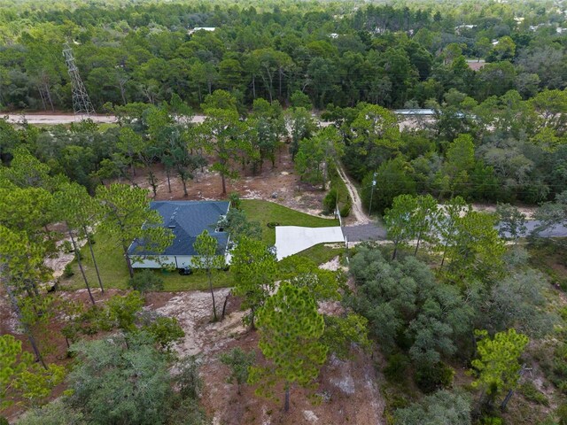 12356 Marvelwood Rd, Weeki Wachee, FL 34614 - photo 6