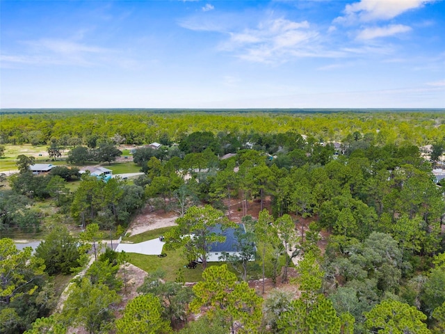12356 Marvelwood Rd, Weeki Wachee, FL 34614 - photo 47