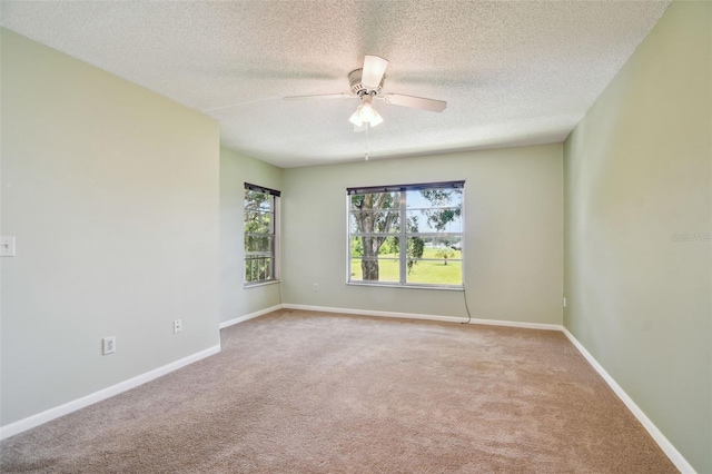 6601 Spring Flower Dr Unit 24, New Port Richey, FL 34653 - photo 15