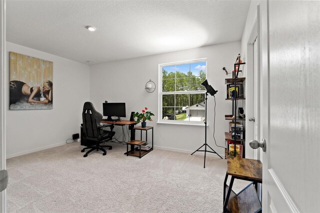11400 Chickadee Rd, Brooksville, FL 34614 - photo 25